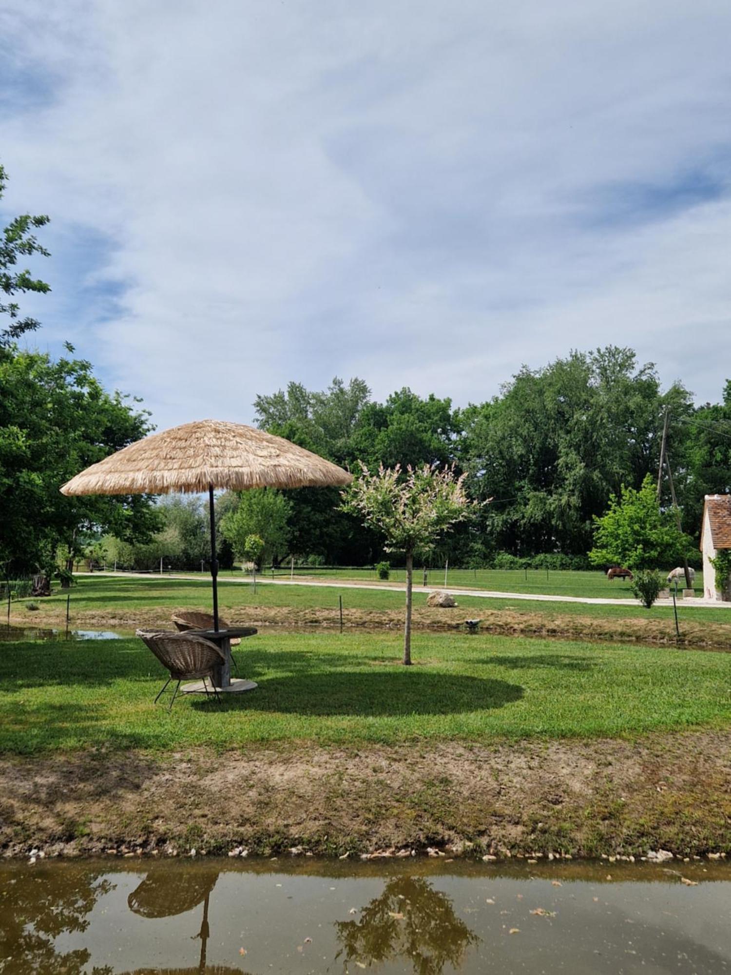 Maison De Campagne Soings-en-Sologne Екстер'єр фото